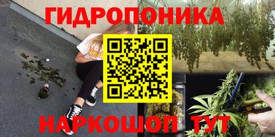дживик Кингисепп