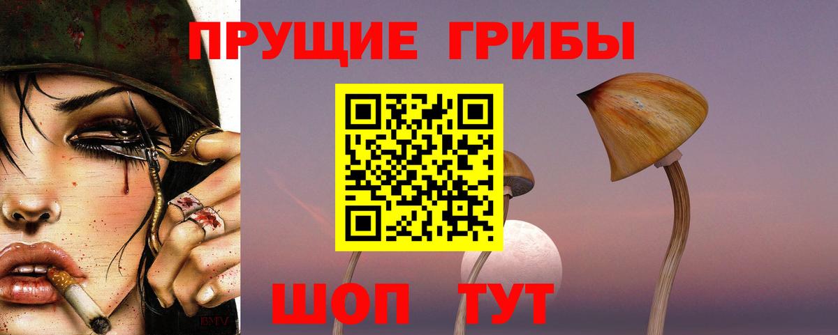 Ковров  где купить наркоту  Вход с VPN  Псилоцибиновые грибы GOLDEN TEACHER  Псилоцибиновые грибы Cubensis 